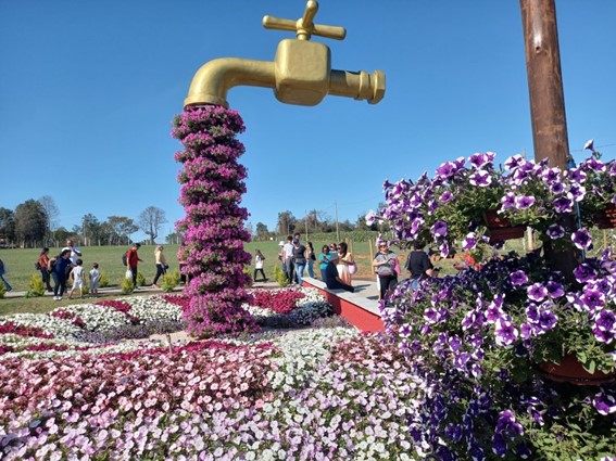 A Magia das Flores na Expoflora: O Maior Festival de Flores e Plantas do Brasil